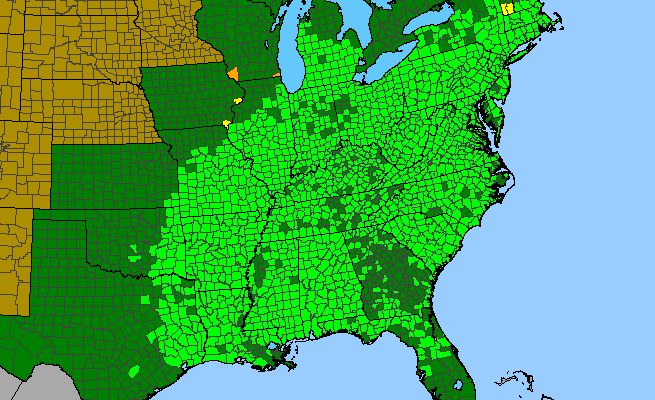 The range of Sassafras albidum